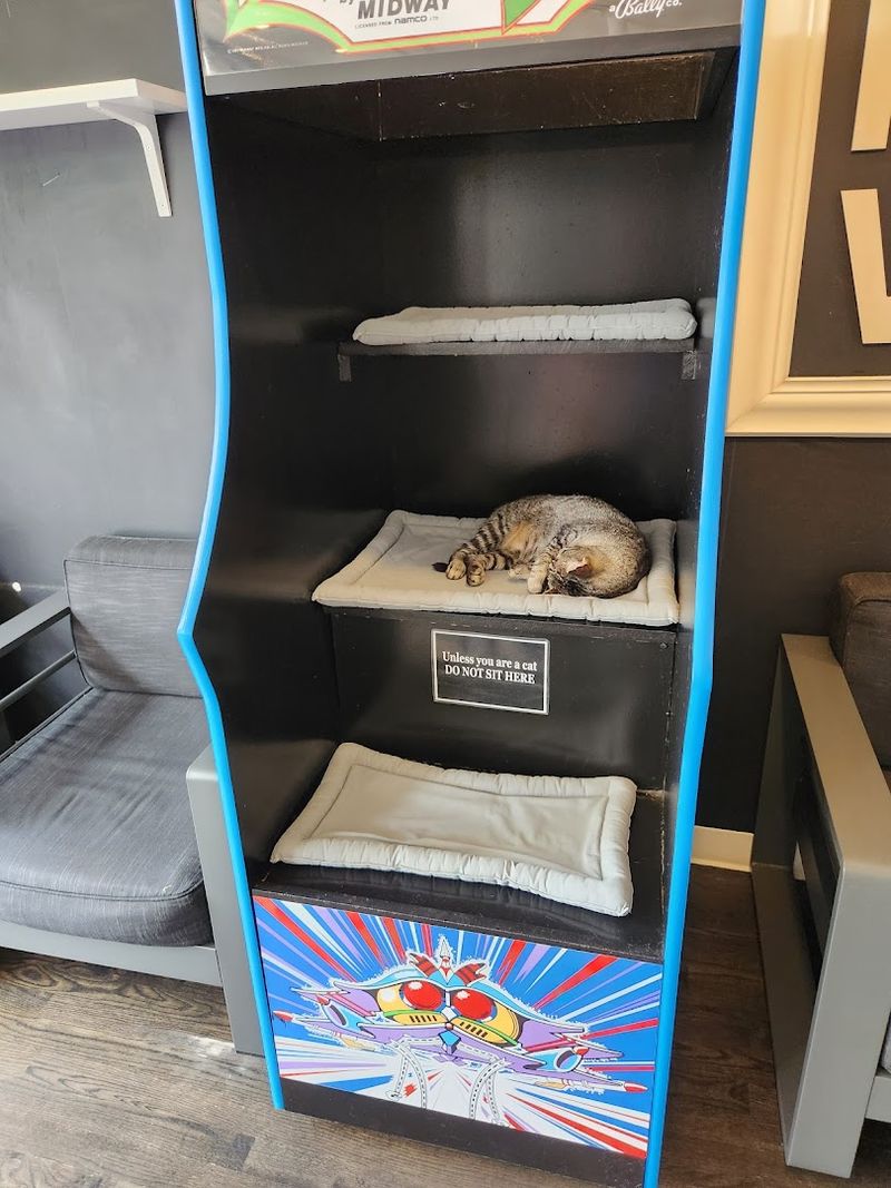 Merchandise and Ways to Support the Rescue