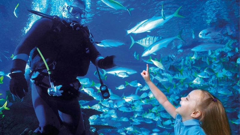 Mermaids, Magic, and Moments Kids Will Not Forget Mermaids, Magic, and Moments Kids Will Not Forget