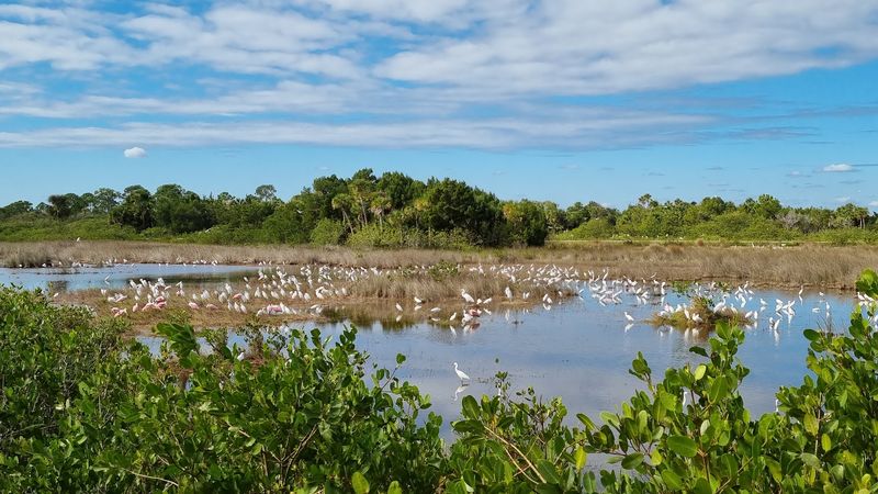 Merritt Island National Wildlife Refuge, Titusville, Florida