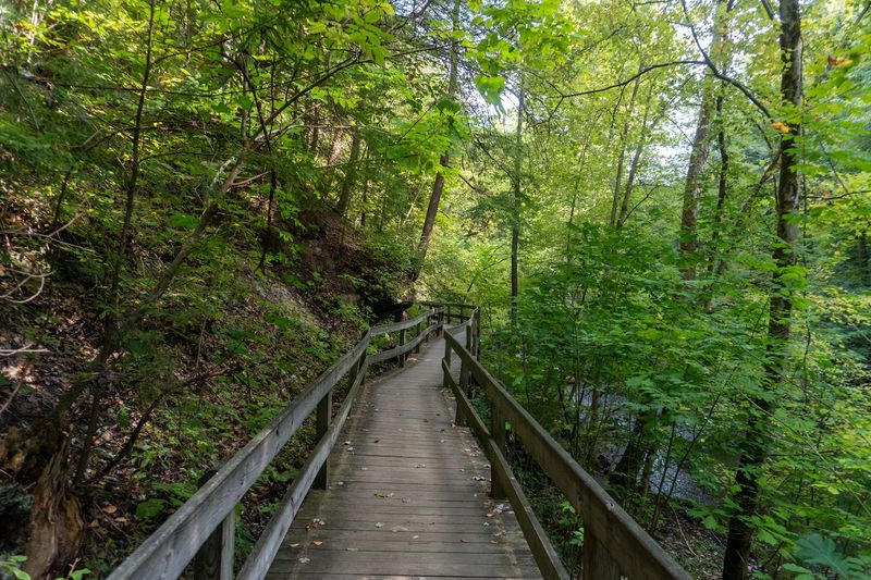 Miles of Trails for Every Pace Miles of Trails for Every Pace