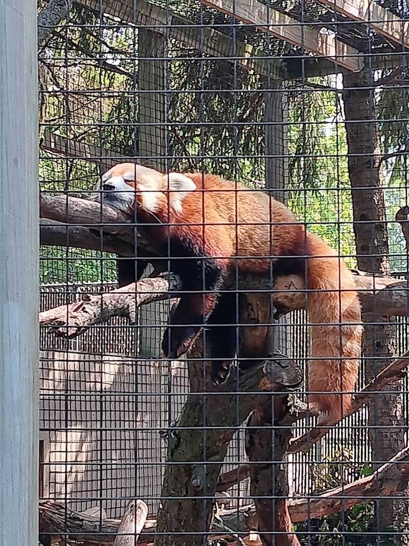 Miller Park Zoo — Bloomington, Illinois