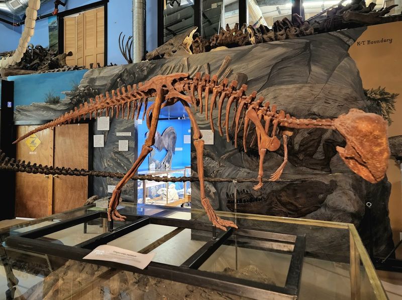 Montana Dinosaur Center, Bynum, Montana