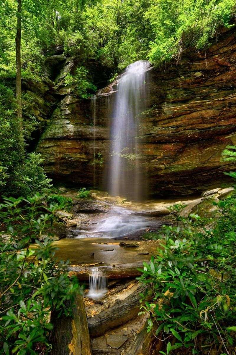 Moore Cove Falls Trail — Brevard, North Carolina