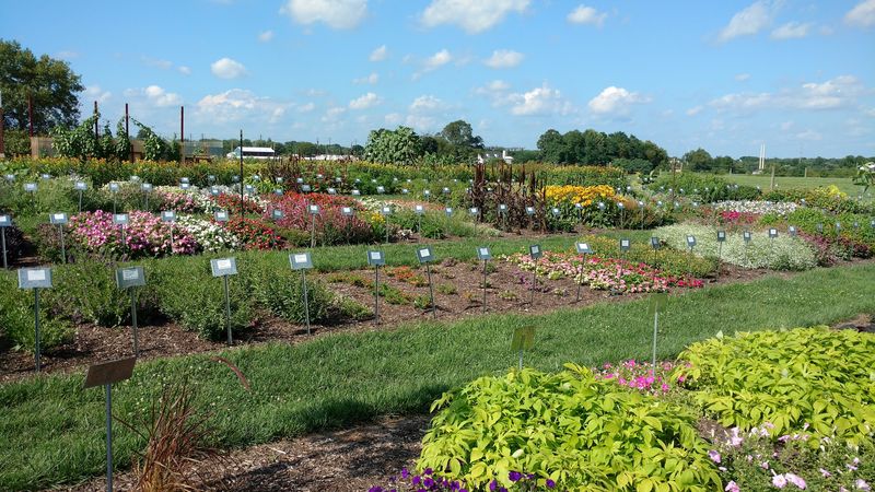 More Than 3,000 Plant Taxa in One Place