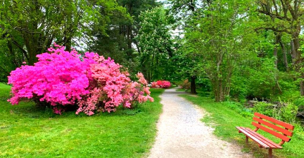 Most Main Line Residents Drive Right Past This Hidden Botanical Park Without Realizing What’s Inside