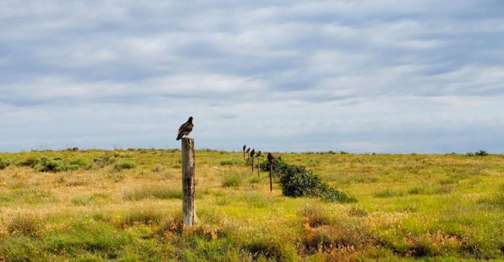 Most Travelers Never Stop at This Hidden Kansas Park – They’re Missing One of the State’s Best Escapes