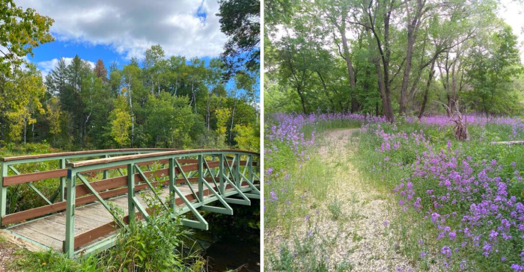 Most Visitors Don’t Realize This 500-Acre Nature Escape Exists in Baxter