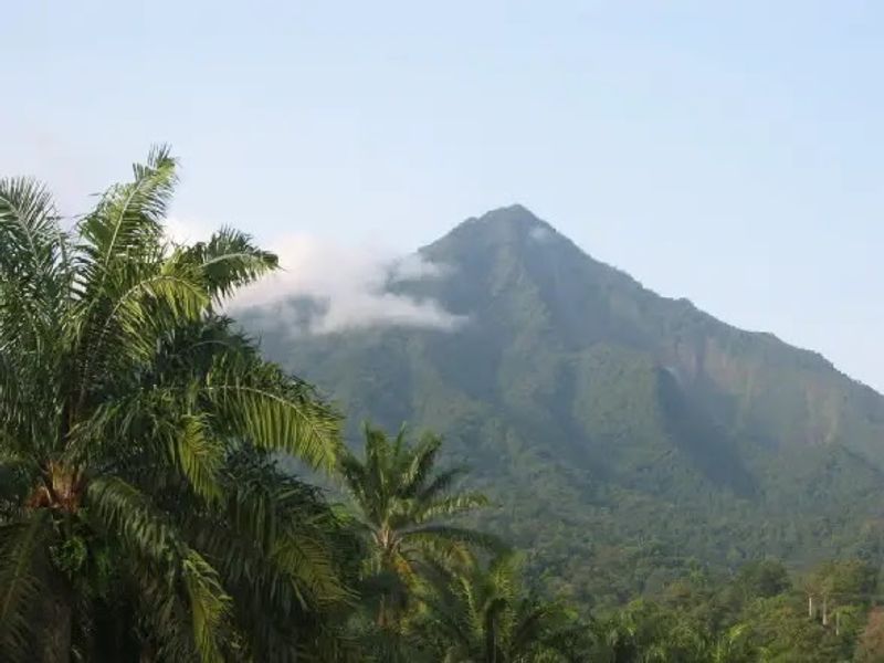 Mount Cameroon Region, Southwest Region, Cameroon Mount Cameroon Region, Southwest Region, Cameroon