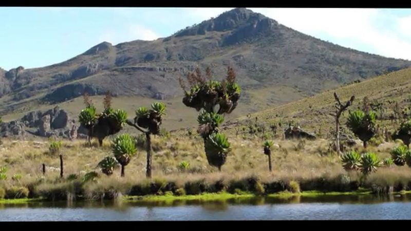Mount Elgon Highlands, Eastern Uganda Mount Elgon Highlands, Eastern Uganda