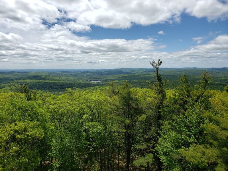 Mount Grace State Forest, Warwick, Massachusetts