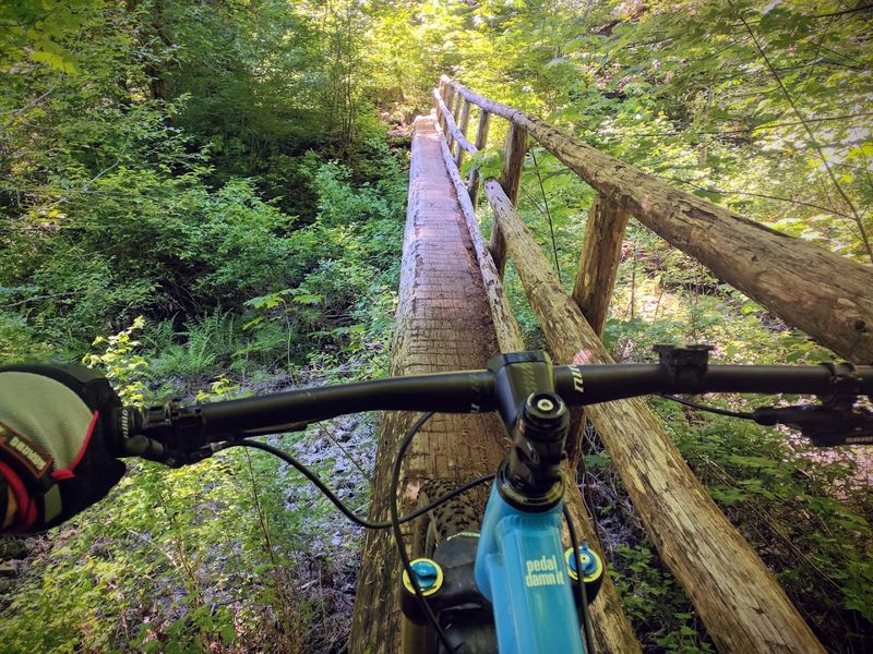 Mountain Biking: Skills, Sections, and What to Expect