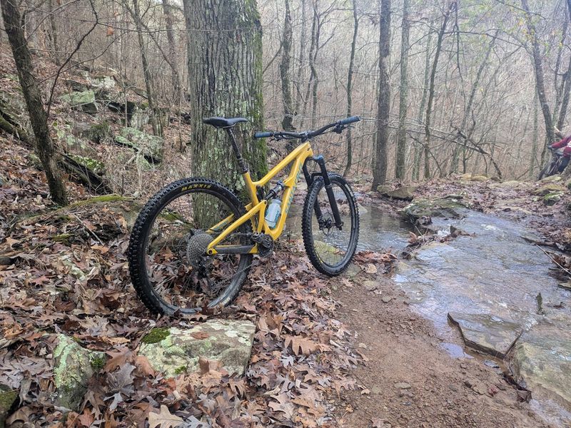 Mountain Biking Trails That Earn Their Reputation