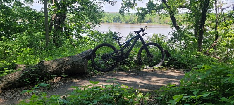 Mountain Biking Trails That Earn Their Reputation