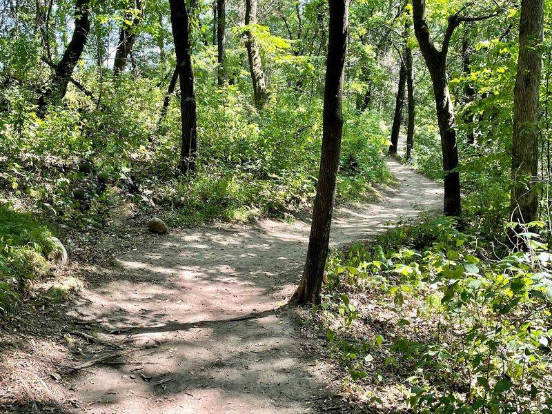 Mountain Biking Trails With Actual Terrain