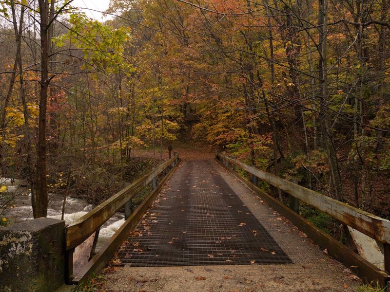 Mountain Biking at Ohiopyle: Singletrack Trails With an Ambitious Future