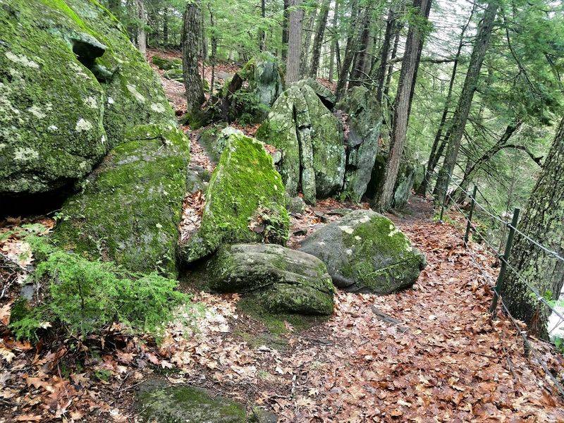 Mountain Biking the Gorge Trails