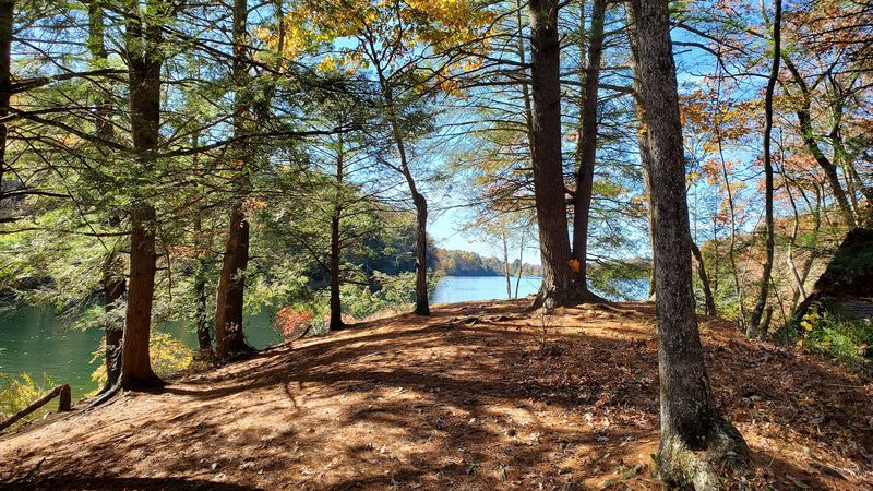 Mountain Views That Make Every Trail Worth the Climb