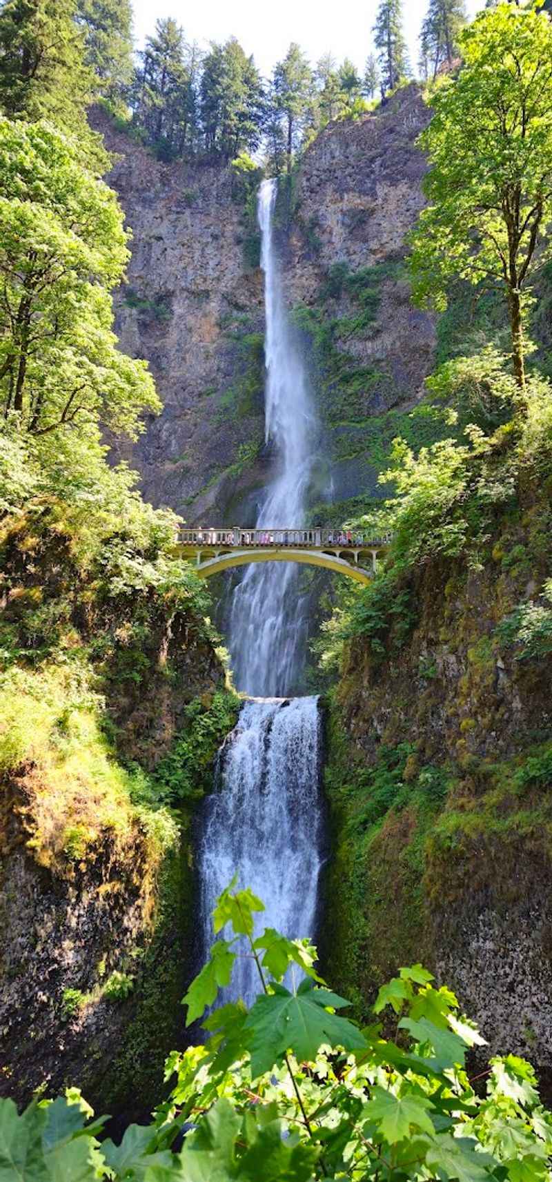 Multnomah Falls: The Star of the Show