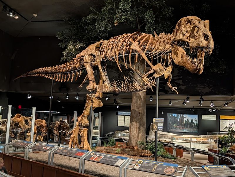 Museum of the Rockies, Bozeman, Montana