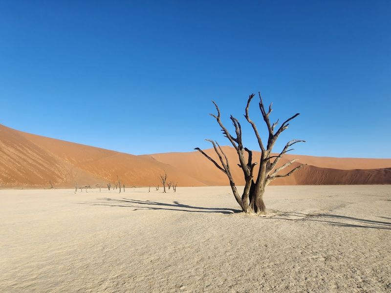 Namib-Naukluft National Park, Sesriem, Namibia Namib-Naukluft National Park, Sesriem, Namibia