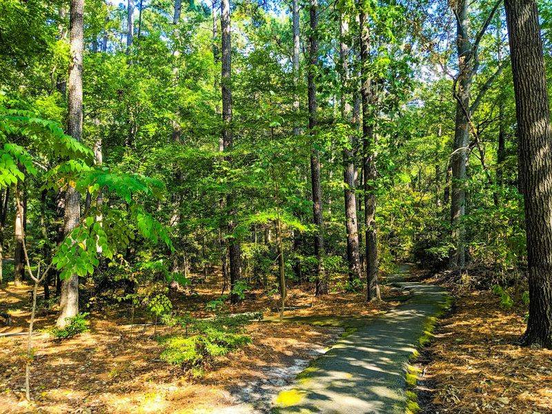 Native Trees Worth Stopping to Read About