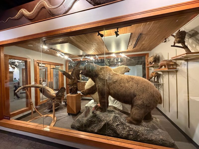 Natural Science on the Lower Level Is Worth More Time Than People Give It Natural Science on the Lower Level Is Worth More Time Than People Give It