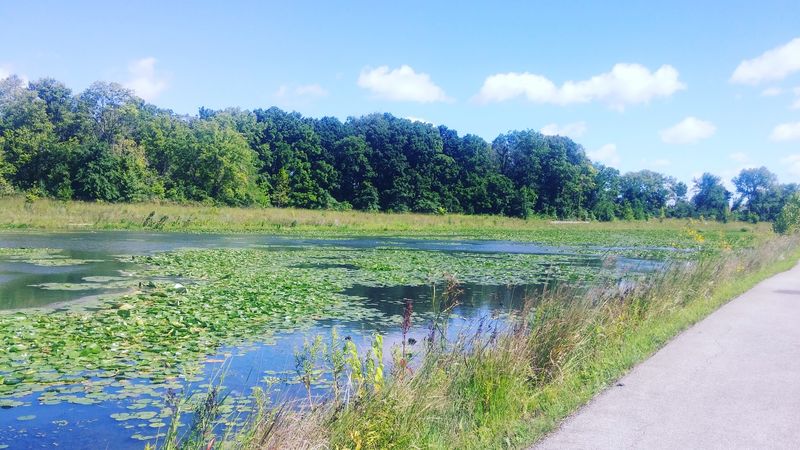Nature Preserves and Green Corridors Worth Exploring
