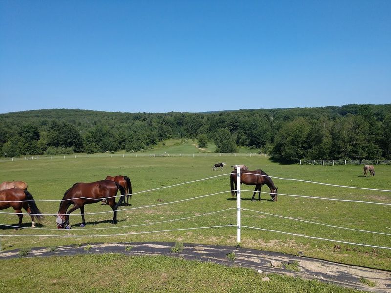 Nature Trails and Open Grounds Worth Exploring