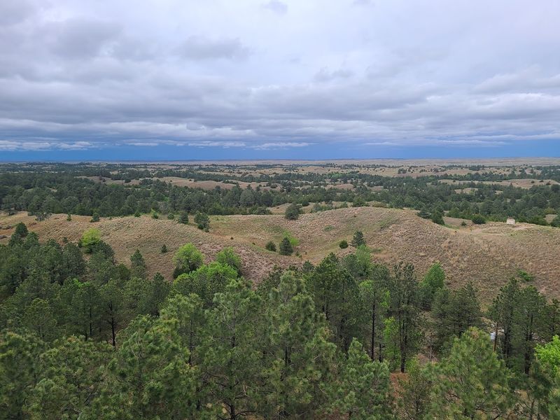 Nebraska National Forest, Halsey, Nebraska