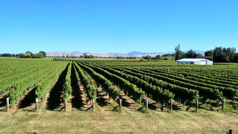 New Zealand's South Island New Zealand's South Island