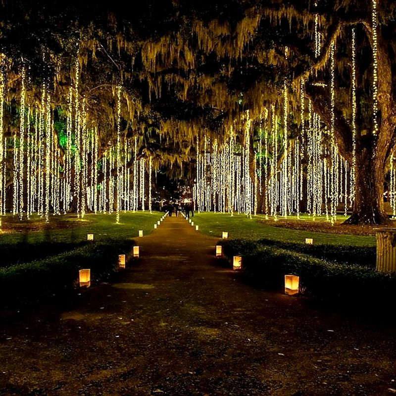Nights of a Thousand Candles