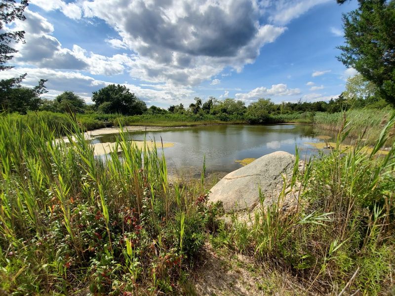 Ninigret National Wildlife Refuge: The Wild Neighbor Next Door