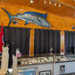 North America’s Only Freshwater Pearl Farm Sits Beside A Camden Marina