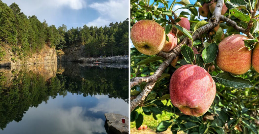 North Carolina Outdoor Attraction Combines Fruit Picking, Cliff Diving and Crystal-Clear Waters in One Place