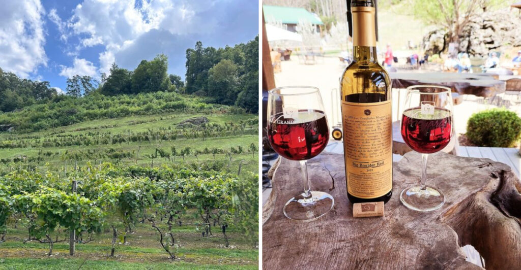 North Carolina Vineyard Built Along a Trout Stream Has Become One of the State’s Most Scenic Wine Destinations