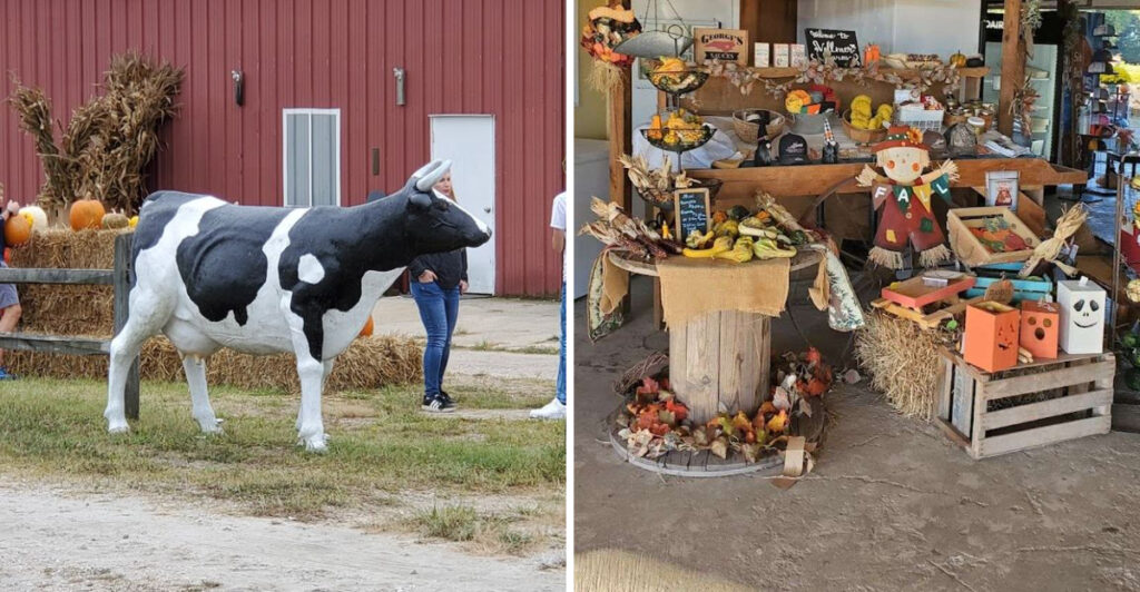 North Carolina’s Family Farm Turns Hayrides, Pumpkin Cannons, and Underground Slides Into an All-Day Adventure