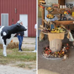 North Carolina’s Family Farm Turns Hayrides, Pumpkin Cannons, and Underground Slides Into an All-Day Adventure