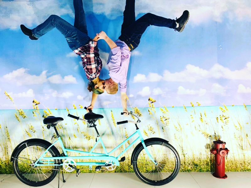 Not Just for Kids: Why Adults Have Just as Much Fun