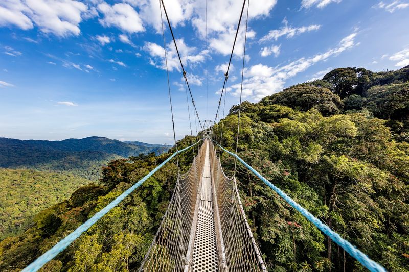 Nyungwe Forest, Rwanda Nyungwe Forest, Rwanda