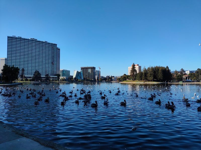 Oakland, California
