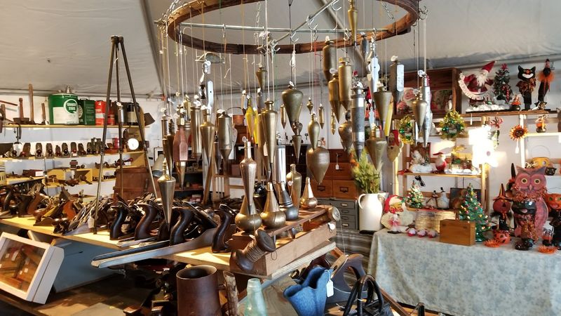 Oddities, Art, and the Unexpected Oddities, Art, and the Unexpected