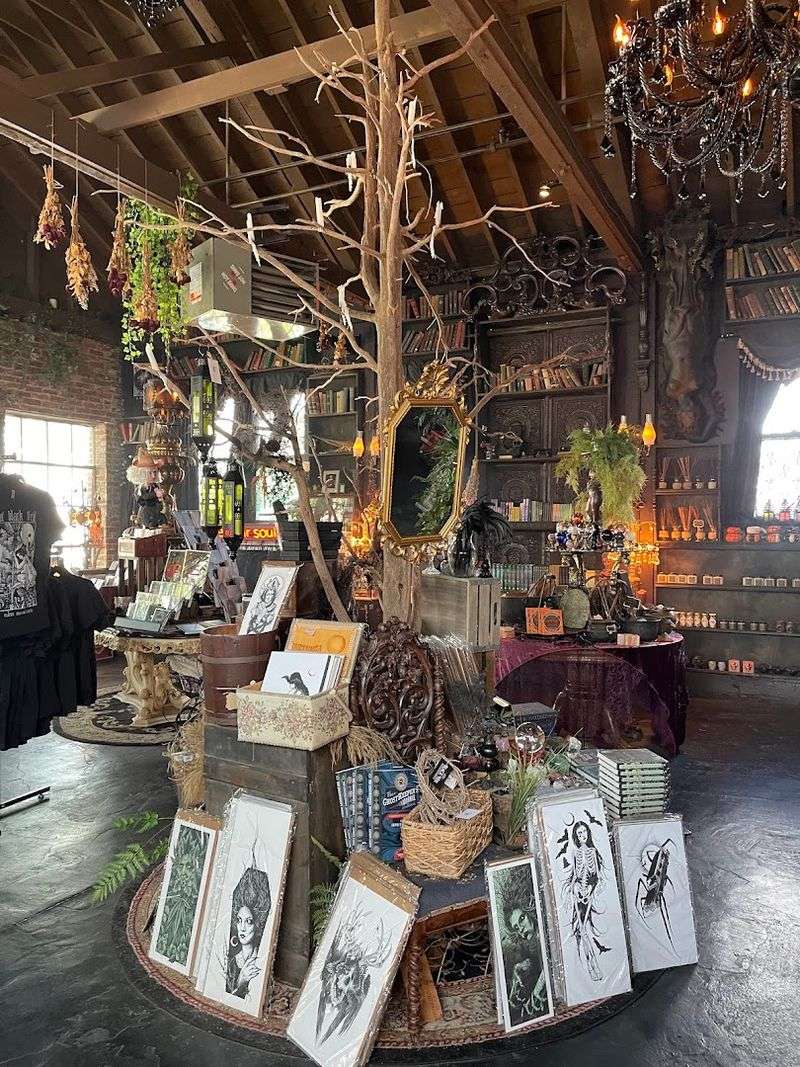 Oddities and One-of-a-Kind Merchandise