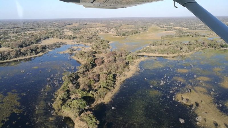 Okavango Delta, Botswana Okavango Delta, Botswana