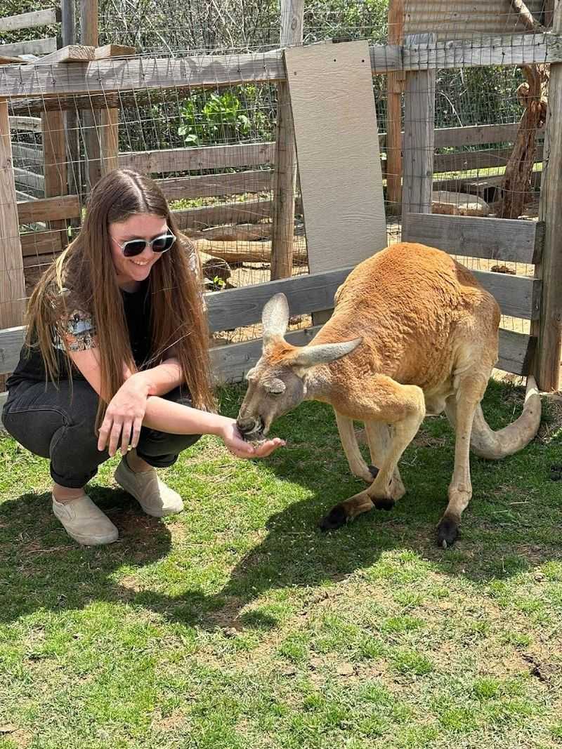 Oklahoma Awesome Adventures Animal Sanctuary — Seminole, Oklahoma
