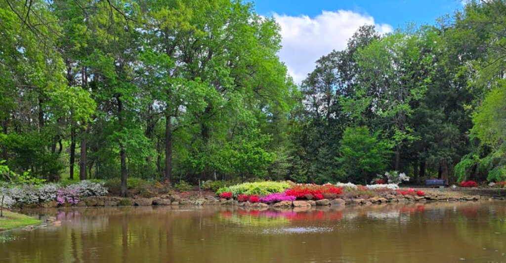 Oklahoma Garden Destination Known for One of the Nation’s Largest Azalea Displays Draws Visitors Every Year