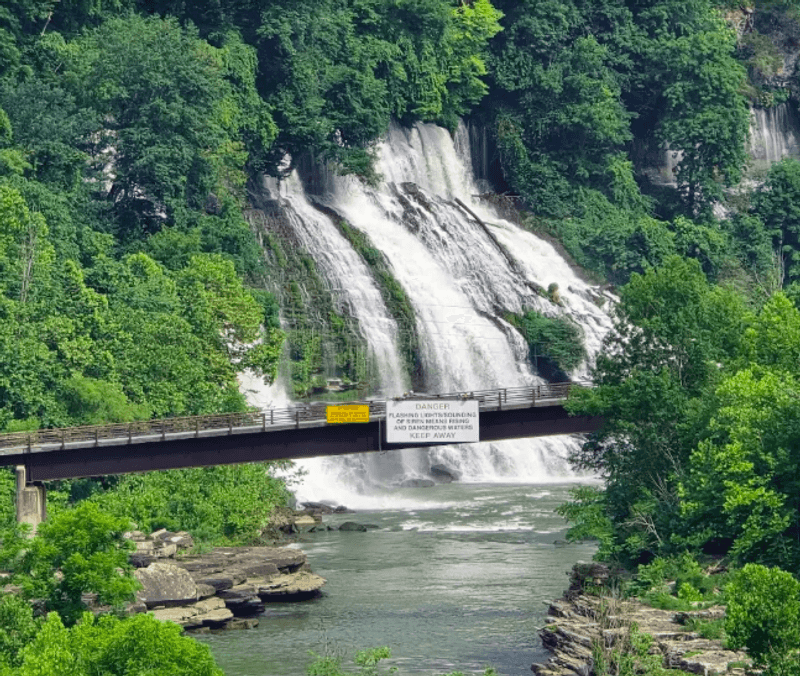 Old Mill Gorge and What Waits at the Bottom