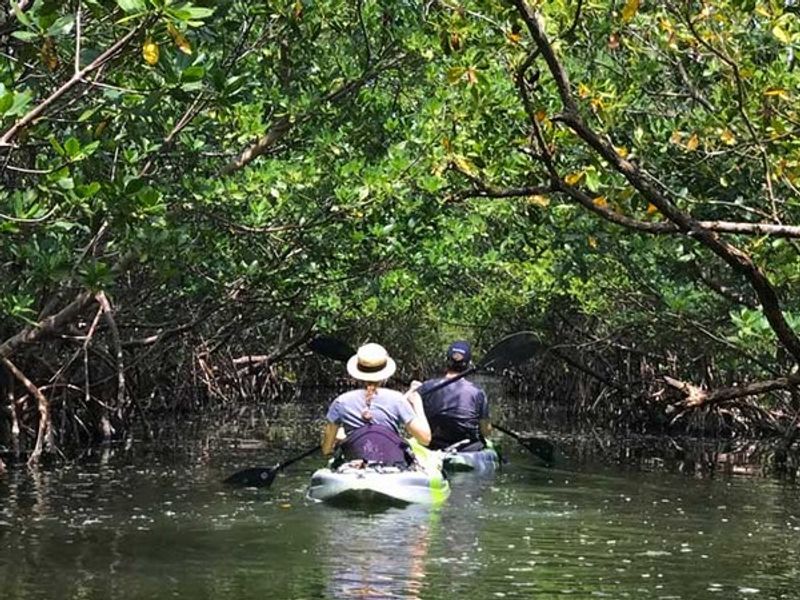 Oleta River State Park (Miami, USA)