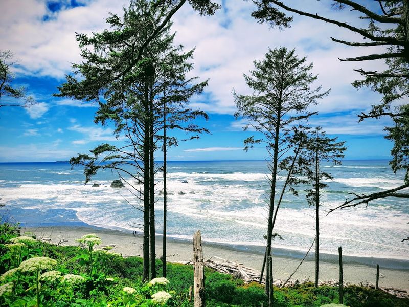 Olympic National Park, Washington Olympic National Park, Washington