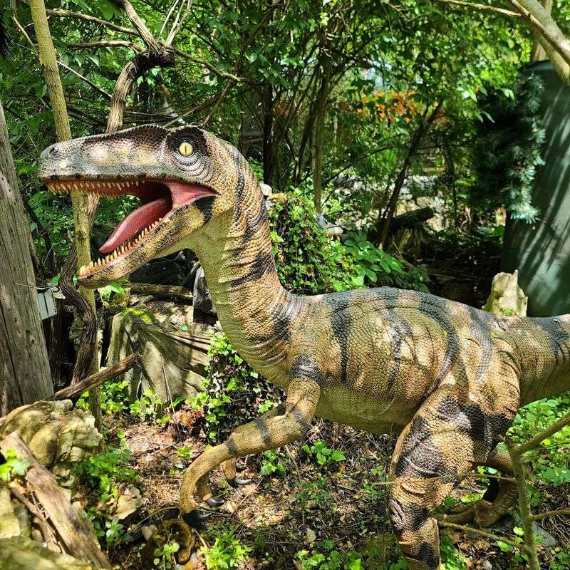 One Raptor That Started It All