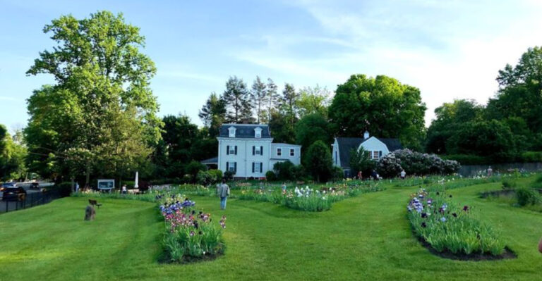 One of America’s Most Stunning Spring Gardens Is Hiding in Montclair